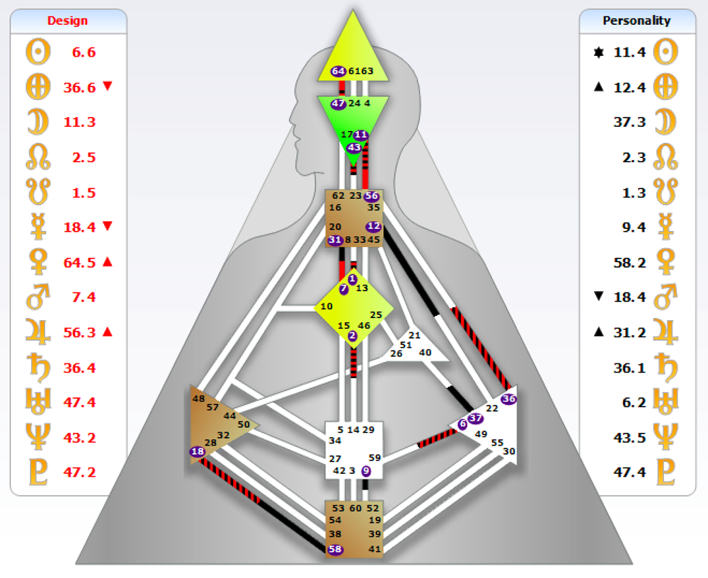 Voorbeeld Human Design diagram ©